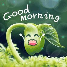 周一早上好祝福图片大全,周一怎么写早上好的祝福语