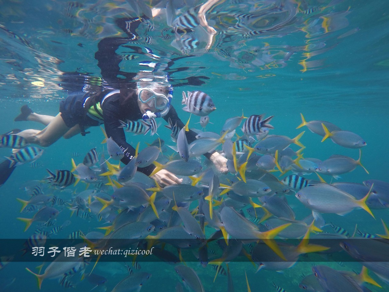 帕劳的旅游时长是多少,帕劳旅游找哪个旅行社