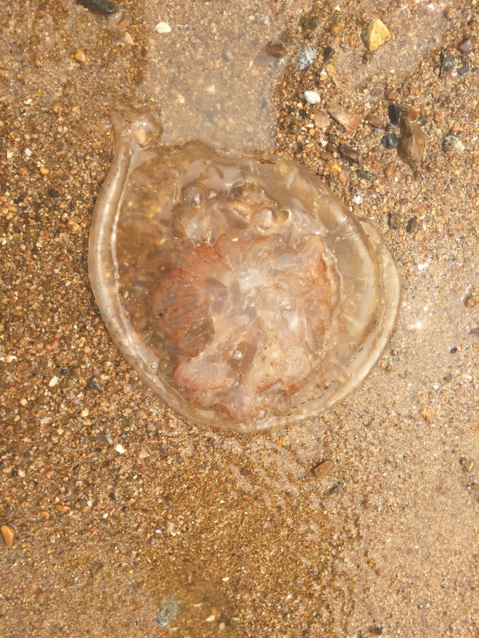 一场说走就走的环岛游,葫芦岛山海关自驾游