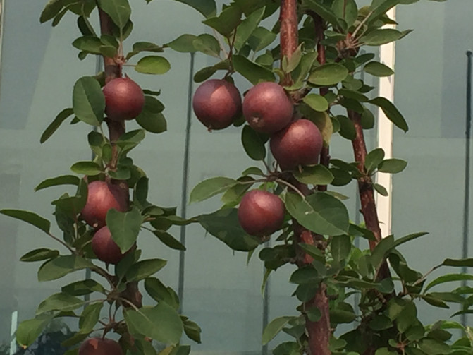 一场说走就走的环岛游,葫芦岛山海关自驾游