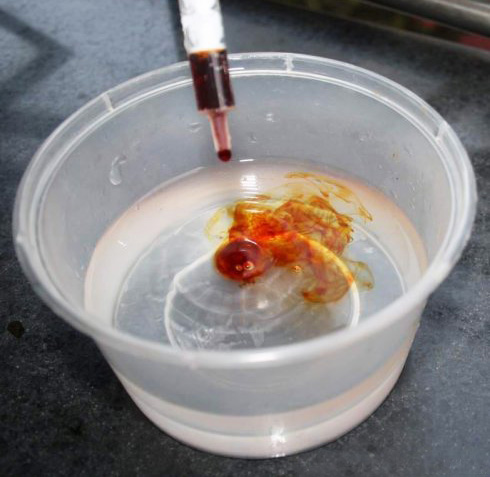 乌龟腐皮会自愈吗,小乌龟腐皮的症状