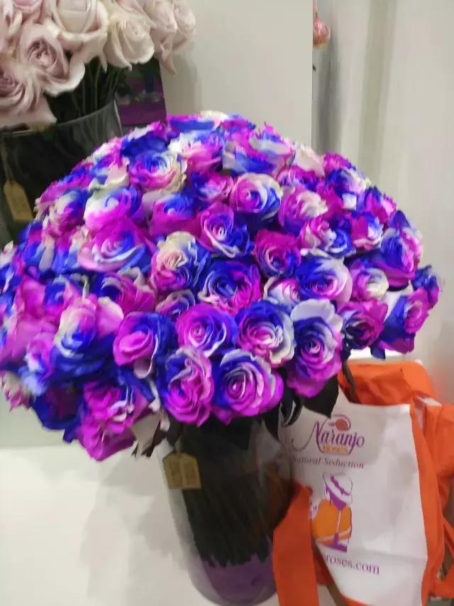 月季玫瑰蔷薇的识别特征,认识蔷薇玫瑰月季