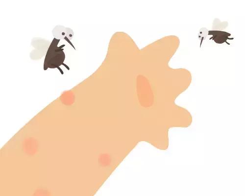 烦烦烦,蚊子就爱咬你?!秘密在这里!