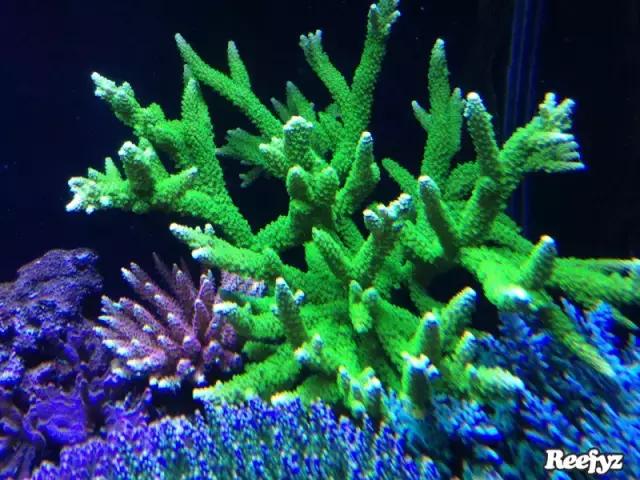 天啊，又是火灾又是炸缸，这可能是最倒霉的鱼友了！