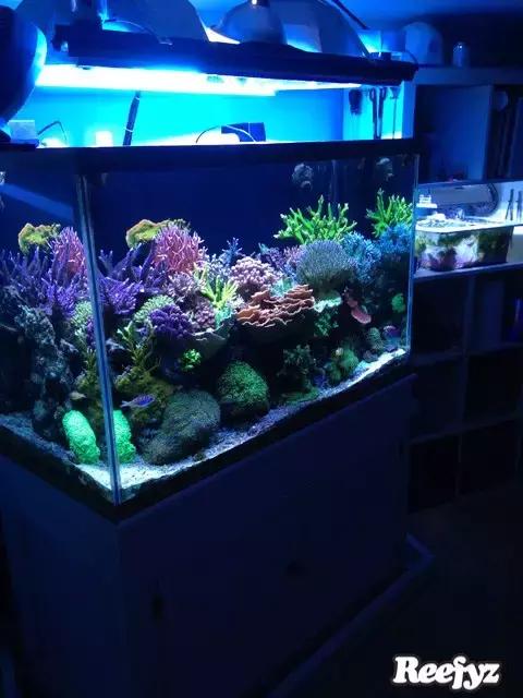 天啊，又是火灾又是炸缸，这可能是最倒霉的鱼友了！