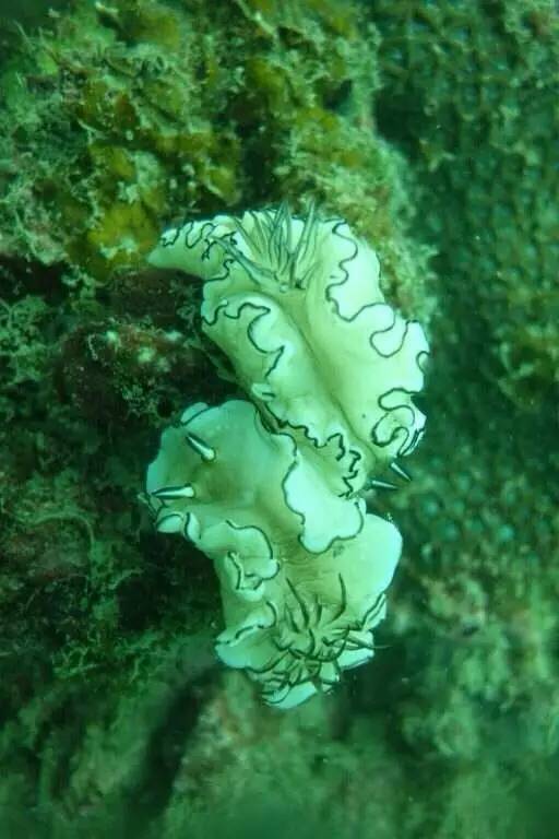 你会选择在南宁和300万人“假装生活”还是和我一起出逃到海岛呢!