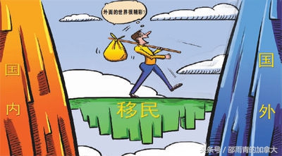 加拿大留学移民哪个专业比较好?