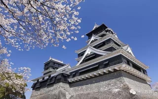 一只熊给我带来的童真:熊本熊的故乡——熊本县(附无完税办理日本多次签证攻略)