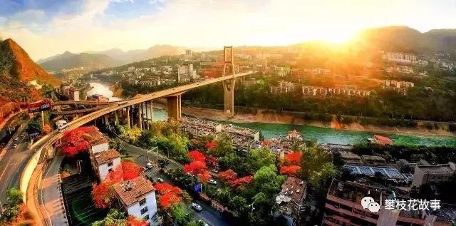 万万没想到你是这样的人视频,你想象中的微商