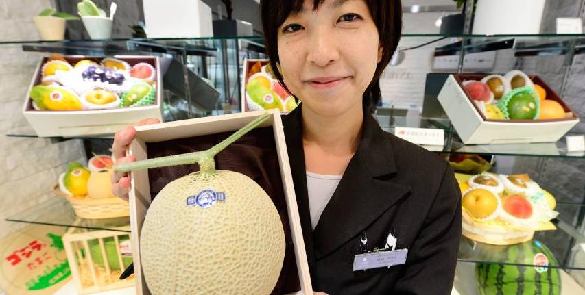 水果千元一个，日本豪华水果大师简直是把钱种在水果上