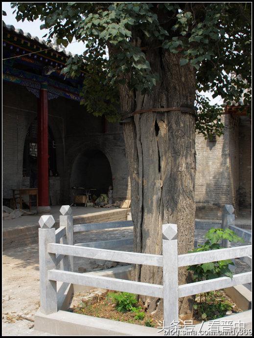 行走在乡野的路上,行走在山野乡间