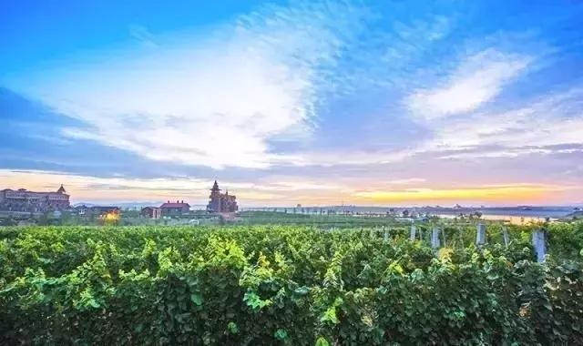 各种星座喜欢去的旅行地方,十二星座最喜欢的旅游地点