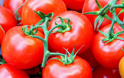 香烟对身体的伤害,一根烟的危害有多大