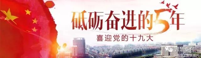 曲福田史立军分别带队观摩泰兴6个重大项目现场