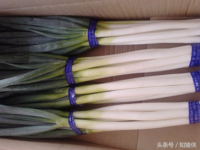 两种野菜有什么功效,夏季这几种菜再便宜也要常吃