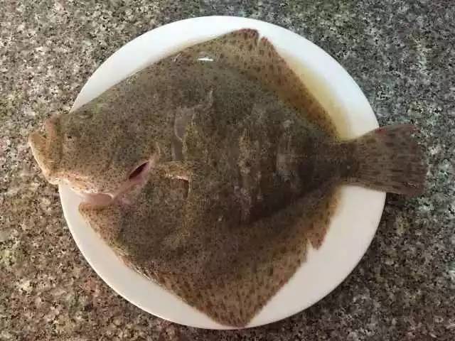 老饭骨清蒸多宝鱼的正宗做法,清蒸多宝鱼正宗做法王刚