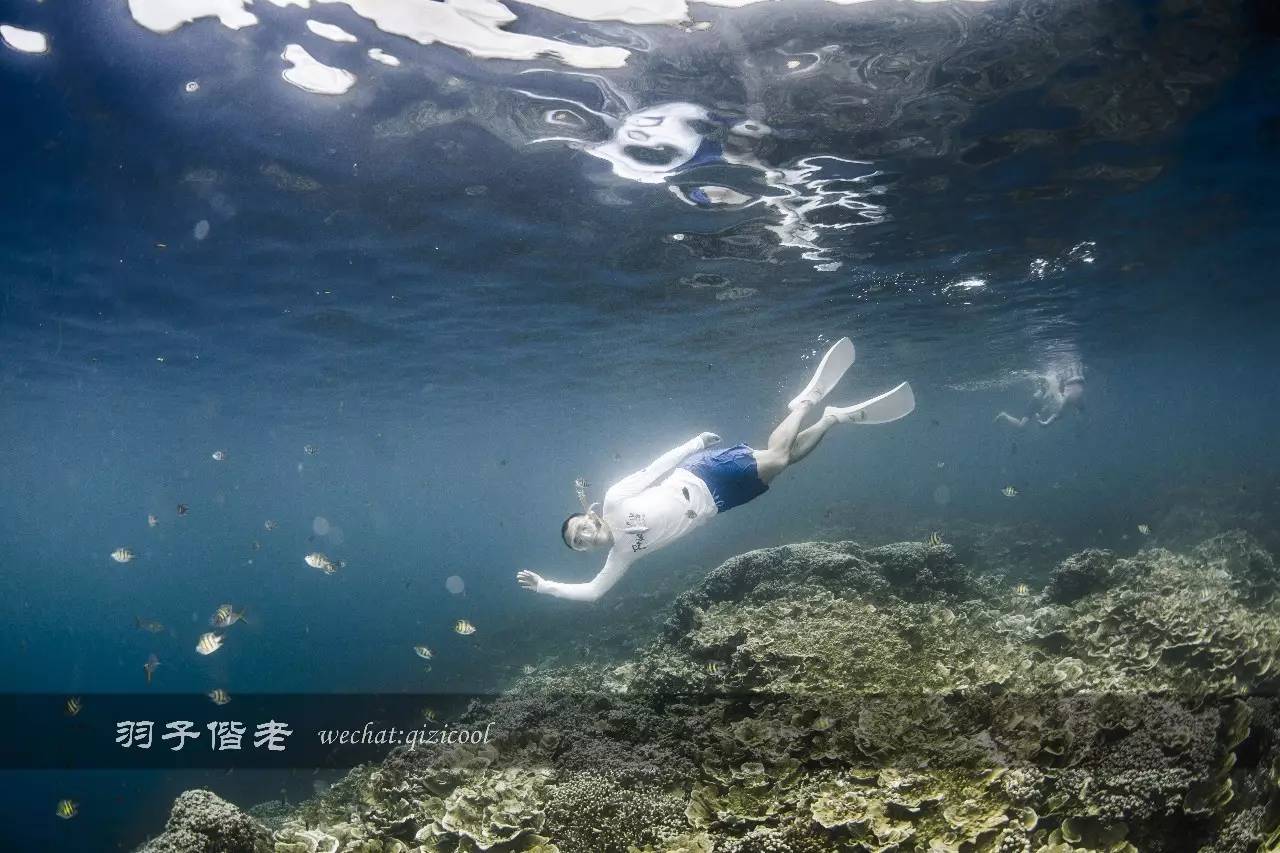 帕劳的旅游时长是多少,帕劳旅游找哪个旅行社