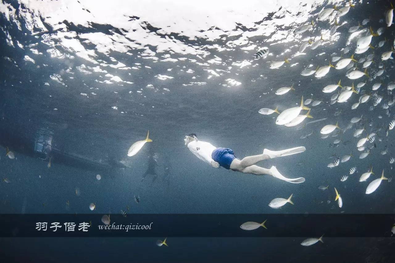 帕劳的旅游时长是多少,帕劳旅游找哪个旅行社