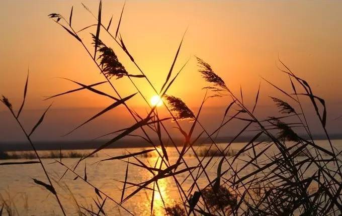 北京周边还有这么多山清水秀的地方？您早就该来一场美丽的邂逅！