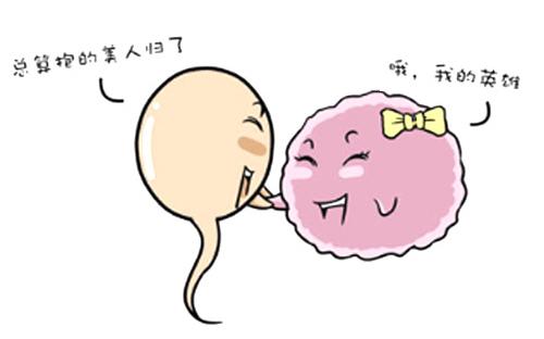 受孕没着床有多大几率不会怀上,原来备孕这么难