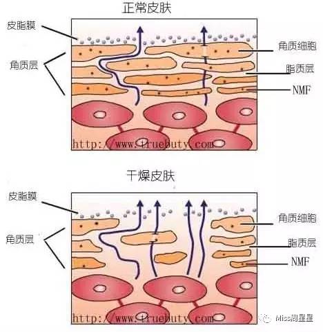 宋慧乔用哪款护肤,宋慧乔长期用精华水