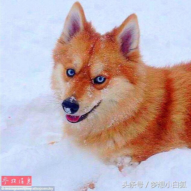 ps小知识常用快捷键,常用ps的实用快捷键