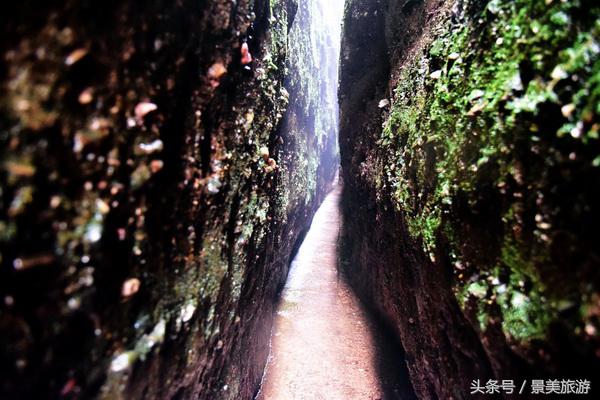 永兴县2018年长鹿集团规划图,湖南郴州永兴长鹿集团