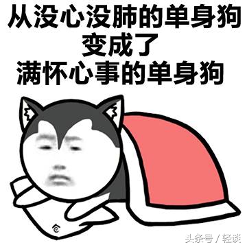 我也会爱上别人的小说,我也会爱上别人的