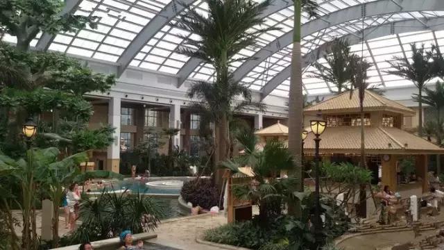 2017年梅花鹿节举办,长春双阳梅花鹿节