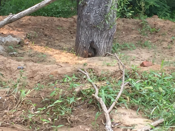 一场说走就走的环岛游,葫芦岛山海关自驾游