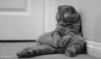 免税店购物退税攻略,出国购物退税攻略