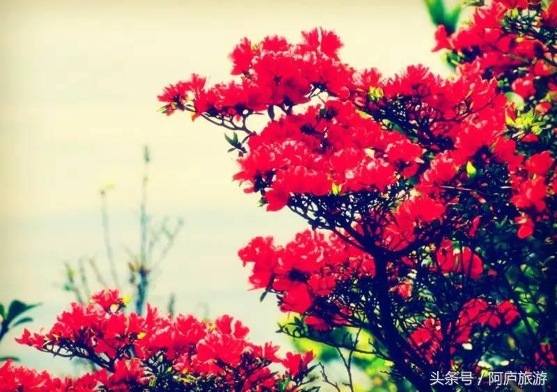 浣犵殑鍚嶅瓧鍗楀崕,浣犵殑鍚嶅瓧鎯呰妭