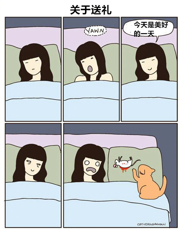 喵星人那些匪夷所思的瞬间,盘点喵星人的无语时刻合集