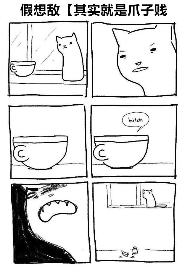 喵星人那些匪夷所思的瞬间,盘点喵星人的无语时刻合集