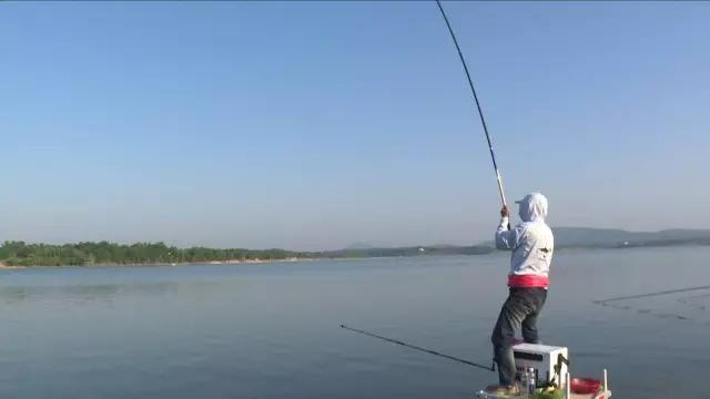 如何遛鱼不跑鱼不断竿,上鱼后如何遛鱼才不会跑鱼