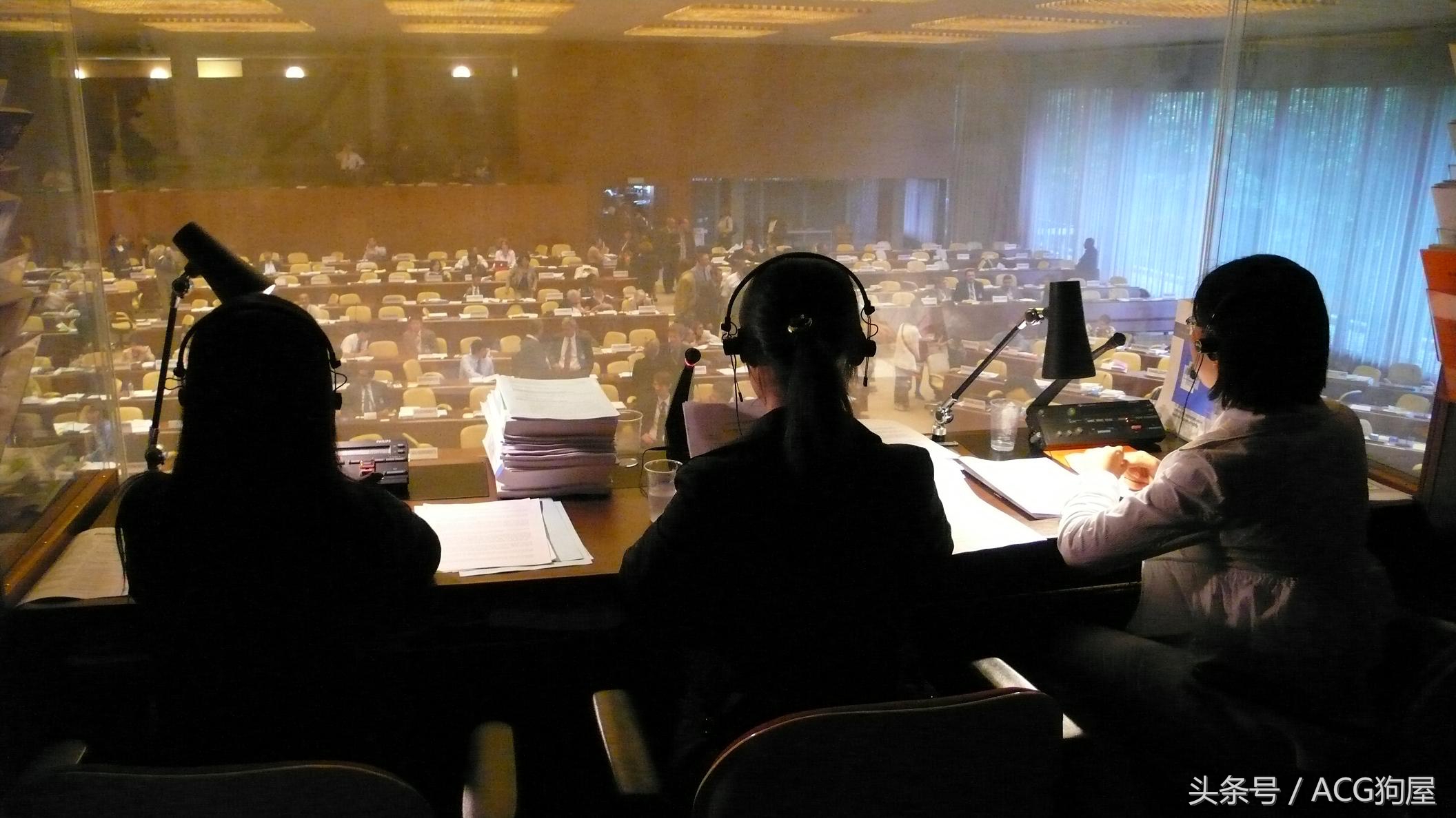 请谋定而后动,200元一天请全程口译的B站到底搞错了什么