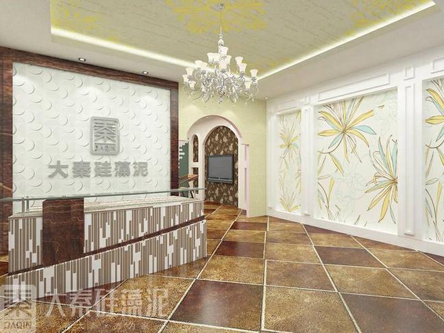 硅藻泥加盟有前景吗,乐山硅藻泥加盟10大连锁品牌