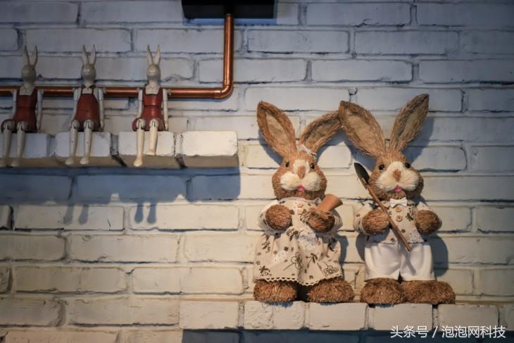 佳能6dmarkii使用详解,入门级全画幅佳能相机型号