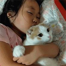 猫咪贴面膜,给猫咪敷面膜