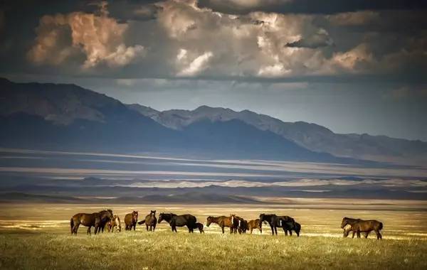 有51个可以免签和落地签的国家,23年免签或落地签国家