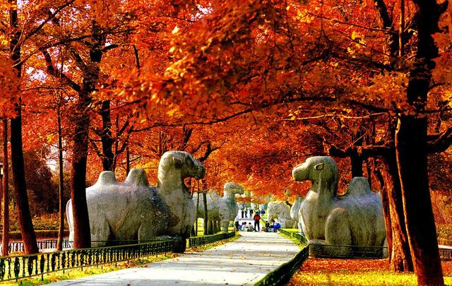 南京珍珠泉免费游玩攻略,南京珍珠泉值得去么