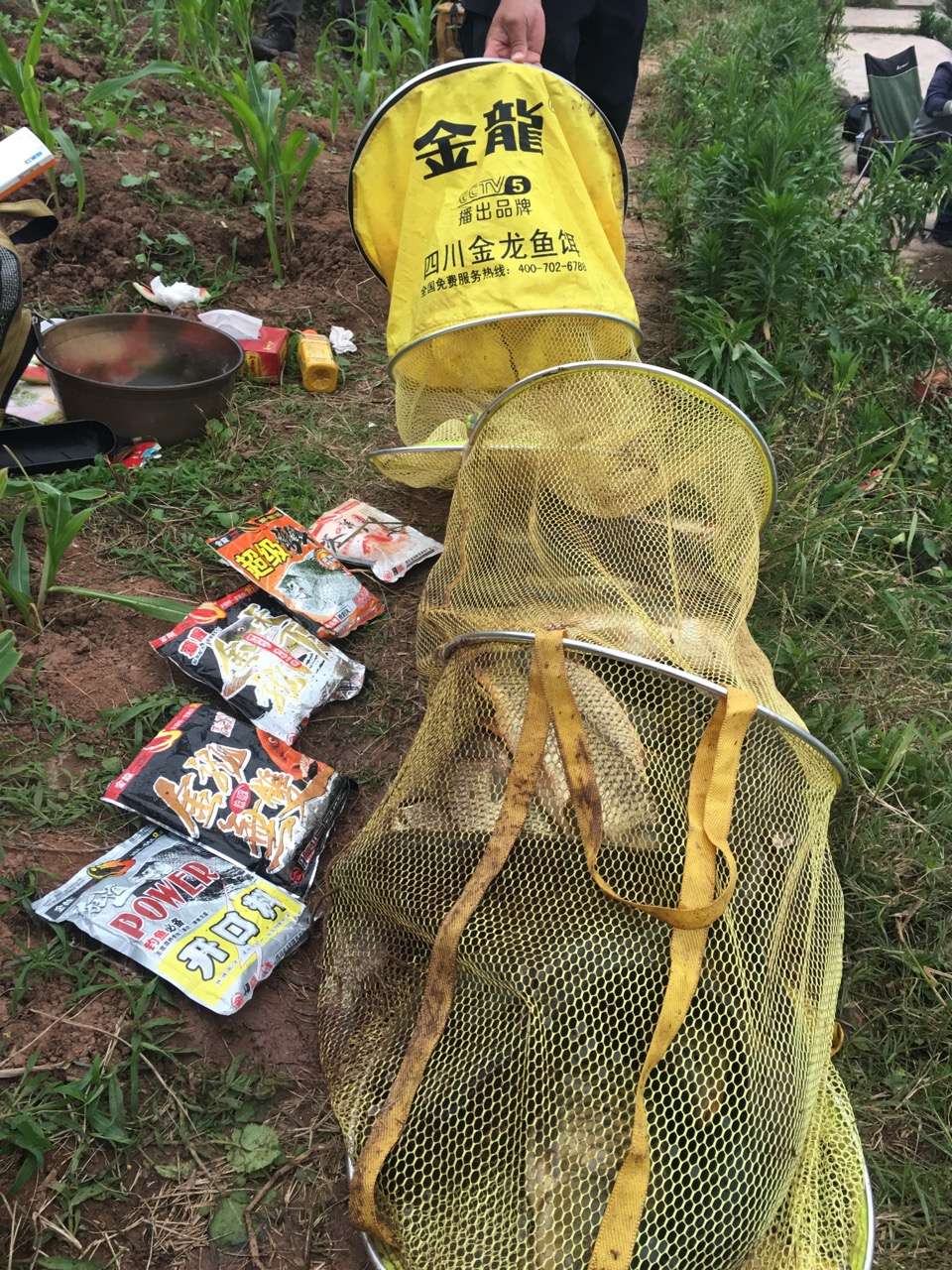 金龙经典饵料,媲美商品饵的鱼饵