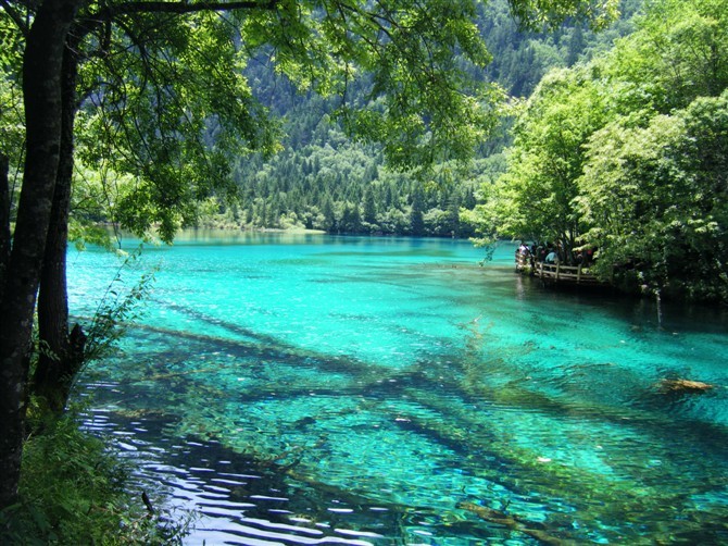 九寨沟泥石流2021年7月有泥石流吗,九寨沟旅游游客被吓