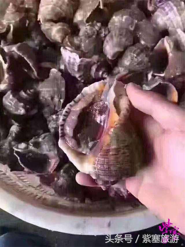 农家院采摘联盟(紫塞)乡村游攻略十六:唐山乐亭老船家农家院