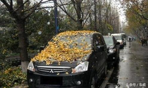 车上都有哪些排水口要清理,车上有哪些排水孔需要疏通