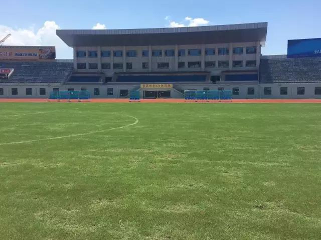 u13足球联赛总决赛,湖北u13锦标赛黄冈