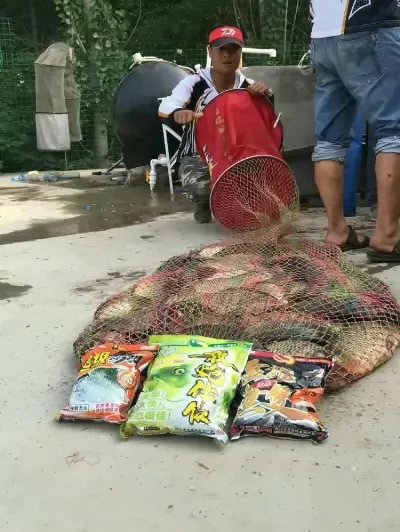 金龙经典饵料,媲美商品饵的鱼饵