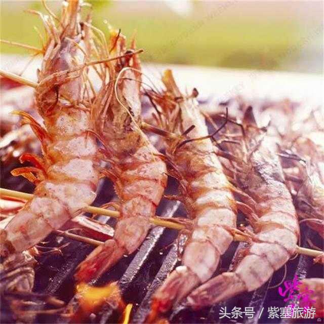 农家院采摘联盟(紫塞)乡村游攻略十六:唐山乐亭老船家农家院