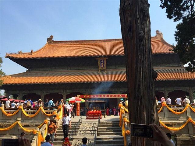 济宁gdp是多少,济宁经济山东排行