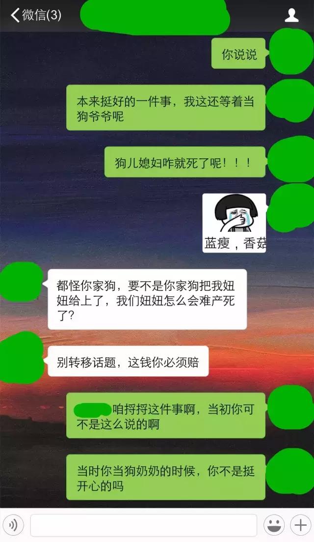 还狗清白！隔壁家母狗肚子里的不是我家的！